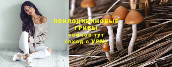 COCAINE Заводоуковск