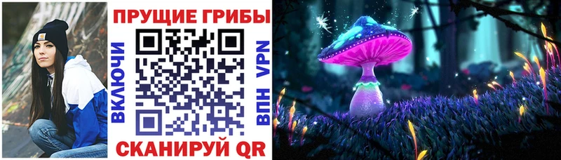 кракен онион  Яхрома  Псилоцибиновые грибы мицелий  как найти наркотики 